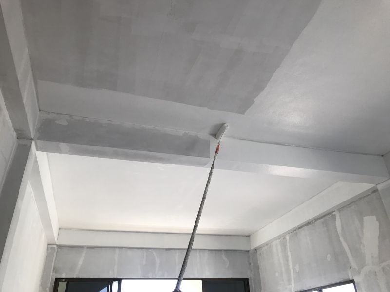 Ceiling Trim Painting